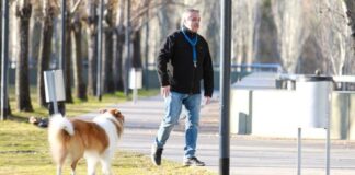 Periodistas le adjudican los problemas universitarios a Alberto Fernández. Los argumentos.