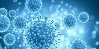 Se inyectó 217 vacunas contra el COVID: esto le ocurrió