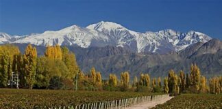 Lugares imprescindibles si se viaja a Mendoza