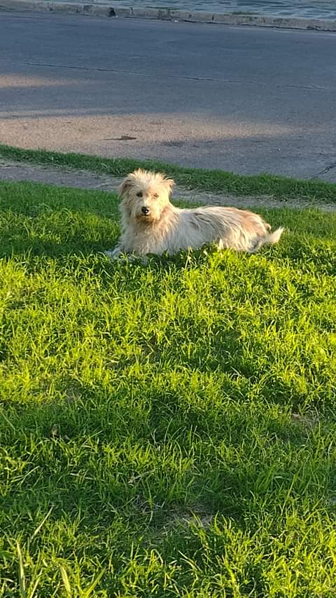 FB_IMG_1710738410641