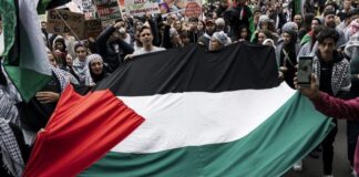 Estado Palestino reconocido por España, Irlanda y Noruega